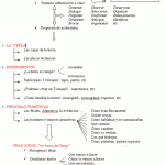 esquema_final.gif