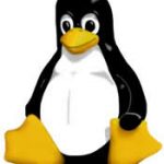 linux-penguin.jpg