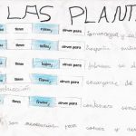 plantas3-600.jpg