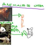 animalesCHINA001.jpg