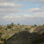 IMG_9231