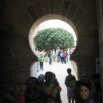 IMG_9290