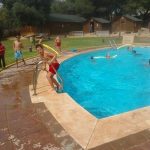 pisci.jpg