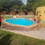 pisci2.jpg