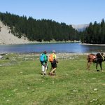 trekkingmule-basamora.jpg