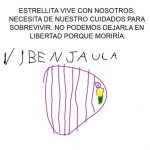 estrellita_5.jpg